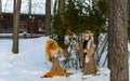 Dolls in MeteÃâ i mumming masks and costumes staying at fir-tree decorated with red ribbons